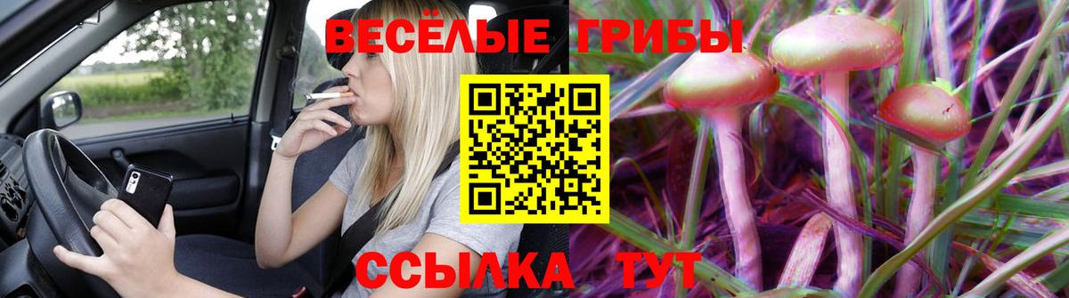 Псилоцибиновые грибы GOLDEN TEACHER  Вход с VPN  Назарово  Галлюциногенные грибы Psilocybe 